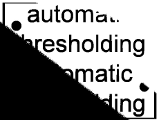 image binaris�e avec l'algorithme d'Ostu (Gimp)